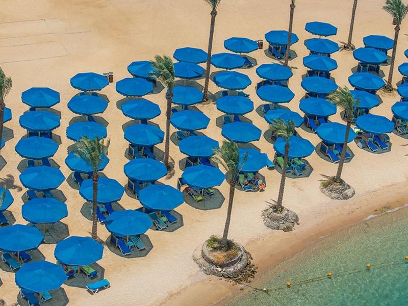 Reihe blauer Sonnenschirme mit Palmen am goldenen Sandstrand neben klarem türkisfarbenem Wasser.