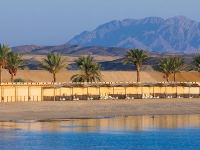 Spiaggia con ombrelloni e palme davanti a un paesaggio desertico e montagne sullo sfondo.