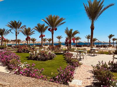 Jardin d'hôtel avec des palmiers, des fleurs colorées et des espaces de détente sous un ciel bleu au bord de la mer.