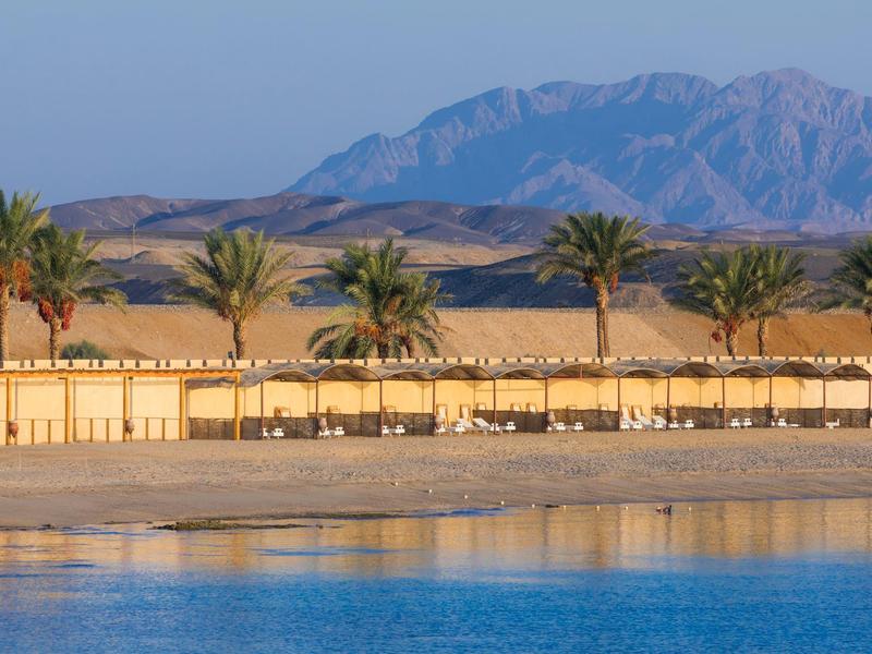 Spiaggia con ombrelloni e palme davanti a un paesaggio desertico e montagne sullo sfondo.