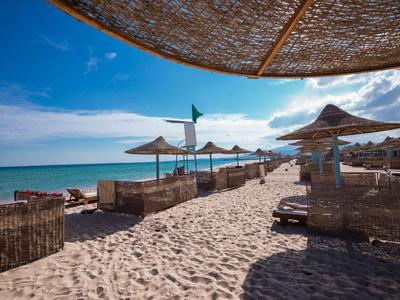 Strand met ligstoelen en parasols onder een blauwe lucht aan zee.