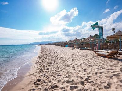 Sunny sandy beach with lounge chairs and water slide by the sea.