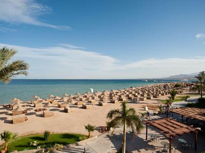 Beach with lounge chairs, umbrellas, and palm trees by the sea under a clear sky