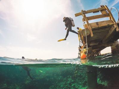 Mann mit Schnorchelausrüstung springt vom Holzsteg ins klare, blaue Meer bei sonnigem Himmel.