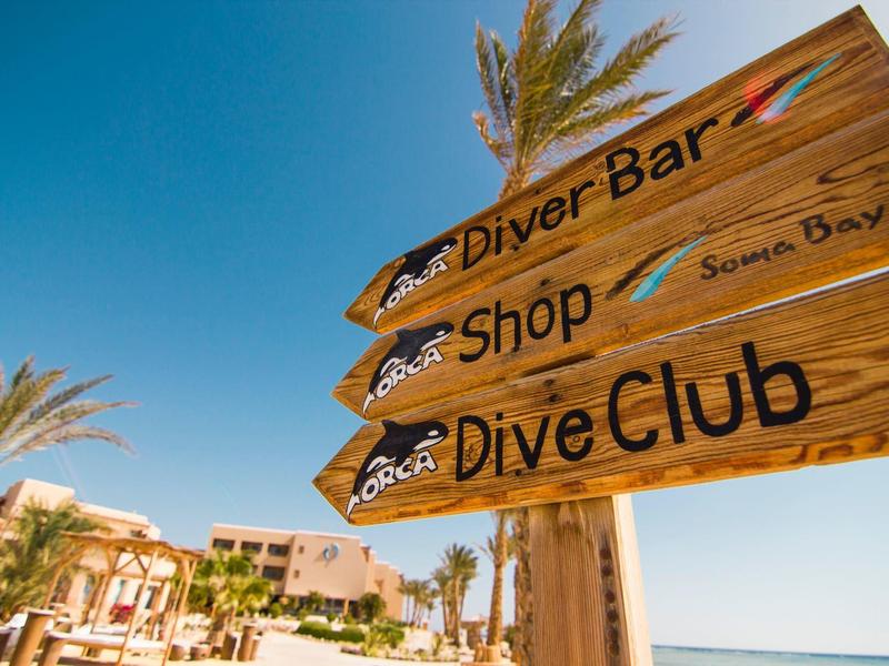 Holzwegweiser bei Palmen zeigt Richtung zu Diver Bar, Shop und Dive Club am sonnigen Strand.