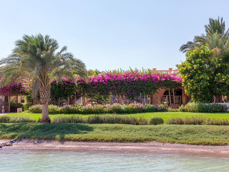 Jardin tropical avec palmiers et fleurs violettes près d'une maison de plage.