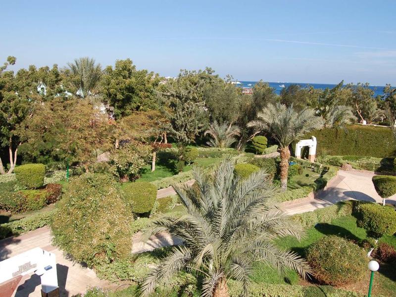 Vue d'un jardin bien entretenu avec des palmiers et des espaces de repos, mer en arrière-plan.