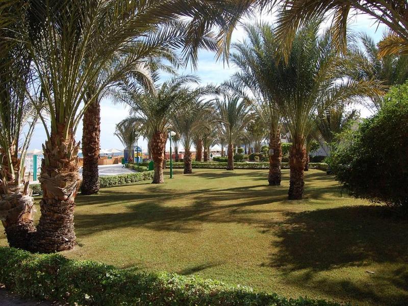 Jardin verdoyant avec des palmiers et vue sur la mer en arrière-plan.