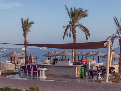 Bar sulla spiaggia con posti a sedere, palme e vista mare in una giornata di sole