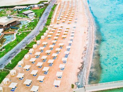 Aerial view of a beach with rows of umbrellas and sunbeds beside clear blue water.