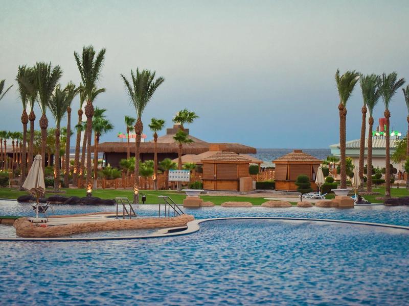Large outdoor pool with palm trees and resort buildings in the background under a clear sky.