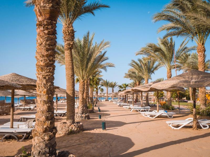 Strand mit Palmen, Liegestühlen und Strohdächern unter blauem Himmel am sonnigen Tag.