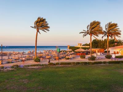 Beach with palm trees and lounge chairs at sunset by the sea.