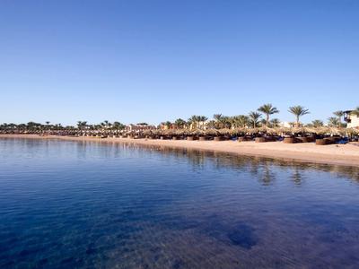 Klares blaues Meer vor einem Sandstrand mit Palmen und Sonnenschirmen unter klarem Himmel.