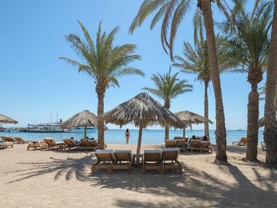 Playa con palmeras, tumbonas y sombrillas junto al mar bajo un cielo despejado.