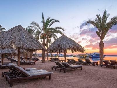 Atardecer en la playa con tumbonas bajo palmeras y techos de paja.