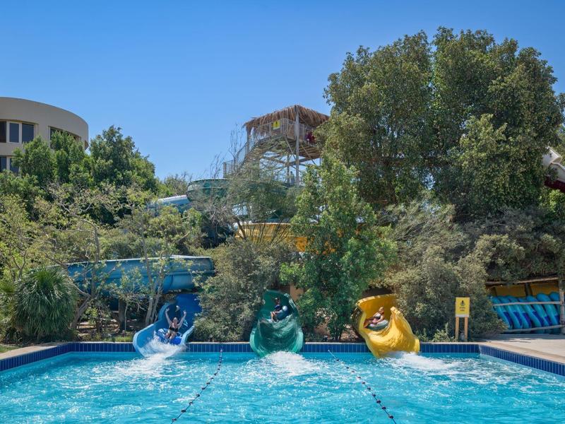 Tres toboganes de agua terminan en una piscina, rodeados de árboles y un cielo despejado.