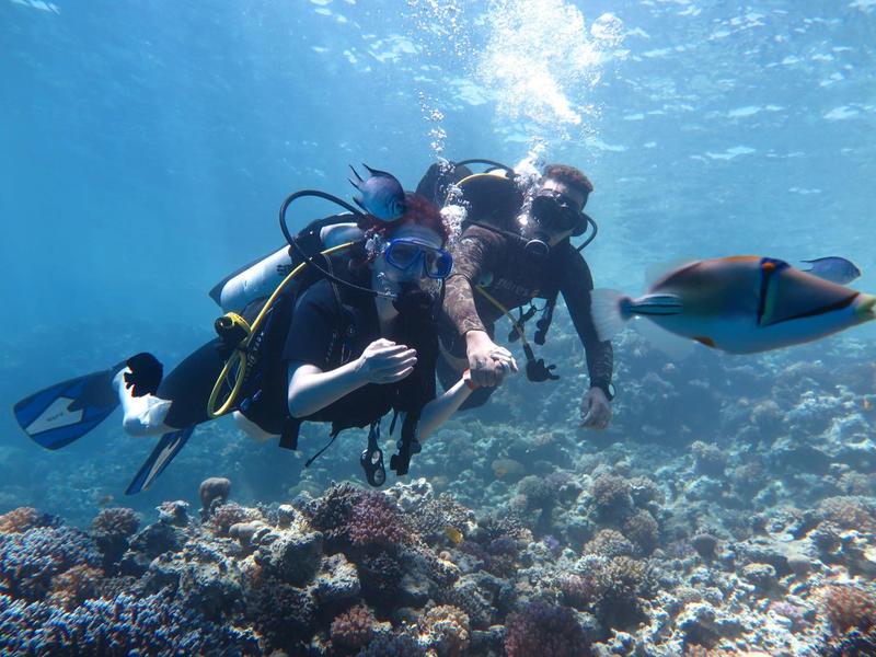 Buzos explorando un arrecife de coral vivo con un pez colorido en agua clara.