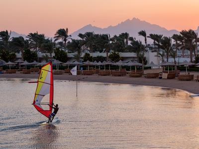 Ein Surfer gleitet auf einem Windsurfbrett bei Sonnenuntergang an einem tropischen Strand mit Palmen vorbe.