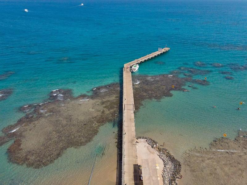 Twee personen peddelen in een kajak op kalm water met palmbomen en strand op de achtergrond.