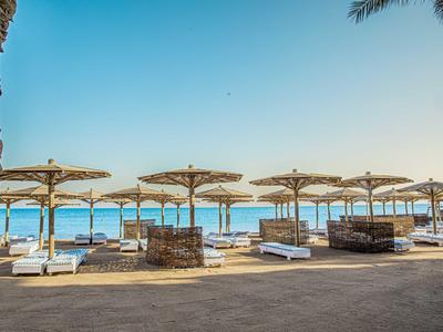 Řady lehátek a slunečníků na písečné pláži s výhledem na moře.