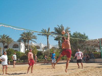 Menschen spielen Beachvolleyball auf Sandplatz mit Palmen und blauem Himmel im Hintergrund.