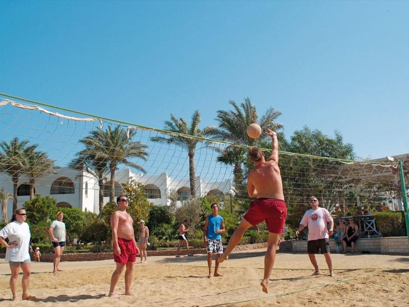 Menschen spielen Beachvolleyball auf Sandplatz mit Palmen und blauem Himmel im Hintergrund.