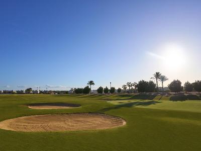 Grüner Golfplatz mit Sandbunker, Palmen und klarem Himmel bei Sonnenlicht.