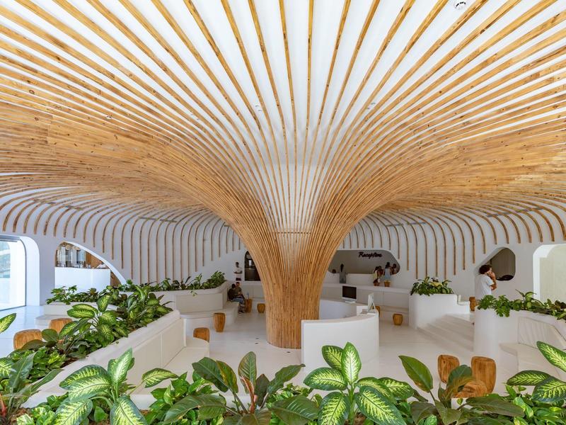 Modernes, organisch gestaltetes Rauminnere mit Holzdeckenstruktur und grünen Pflanzen.