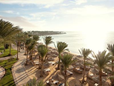 Slunečné plážové letovisko s palmami, lehátky a klidným mořem pod jasnou oblohou.