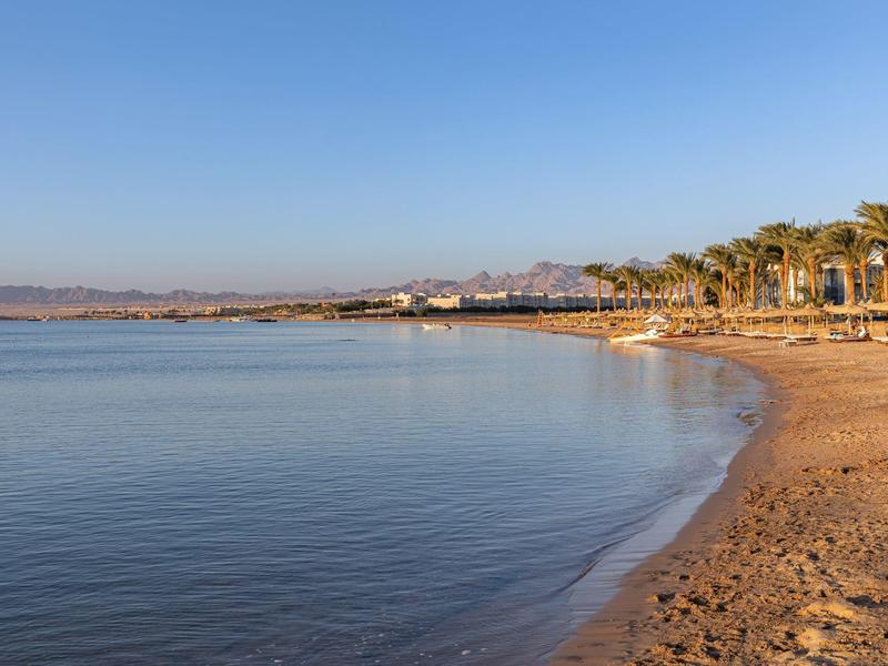 Klidné moře vedle písčité pláže lemované palmami pod jasnou modrou oblohou.