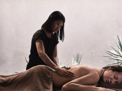 Frau erhält Rückenmassage auf brauner Decke, entspannte Atmosphäre mit grünem Pflanzenakzent.