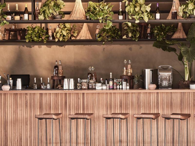 Moderner Hotelbarbereich mit Holztheke, Barhockern und Pflanzen an der Wand.