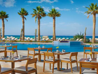 Outdoor restaurant overlooking pool, palm trees, and sea under blue sky.