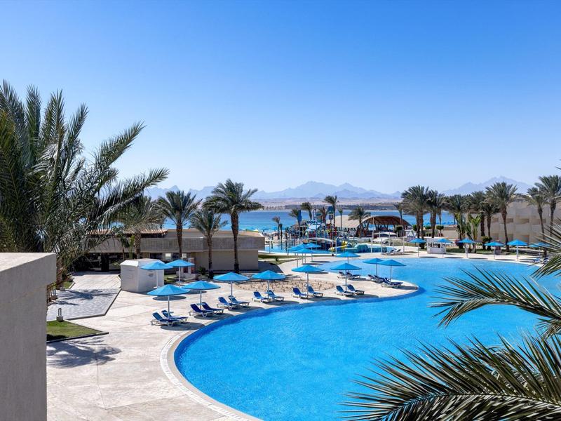 Gebogen buitenzwembad met ligstoelen en palmbomen onder een heldere blauwe lucht aan zee.