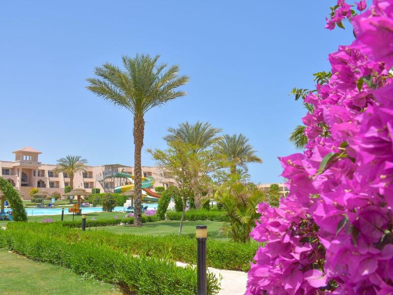 Blühende pinke Blumen, grüne Palmen und gepflegte Wiese vor einem Hotel und blauem Himmel.