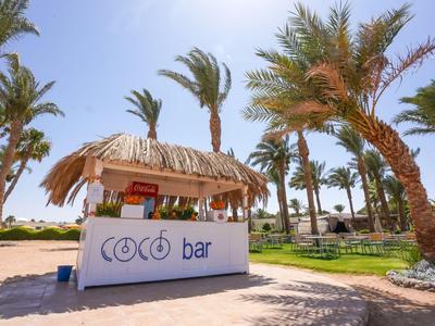 Kleiner Strandbarstand mit Strohdach und Palmen im hellen Sonnenschein.