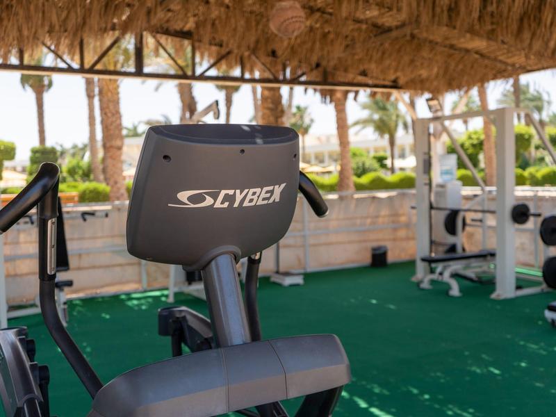 Outdoor fitness area with Cybex equipment and wooden thatched roof cover.