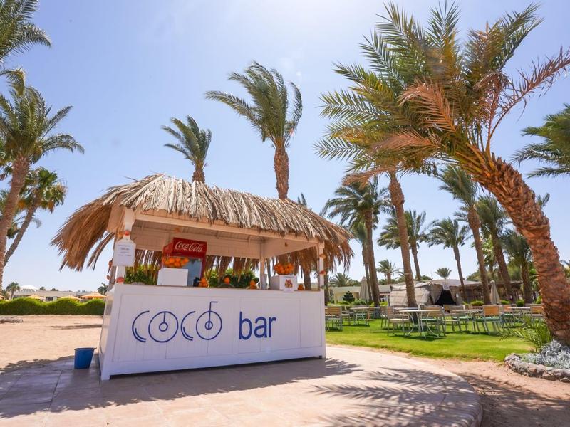 Small beach bar with thatched roof under palm trees on a sunny day.