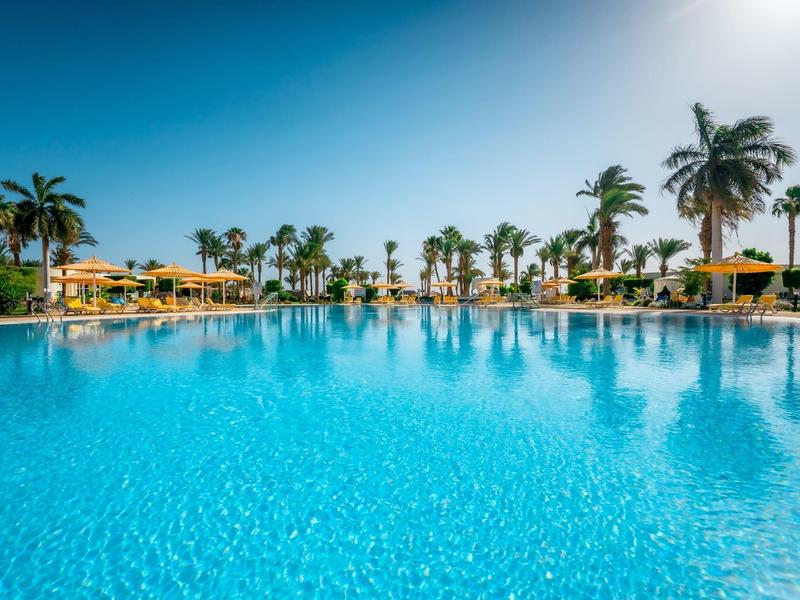 Large pool with clear blue water, surrounded by palm trees and sun umbrellas under a clear sky.