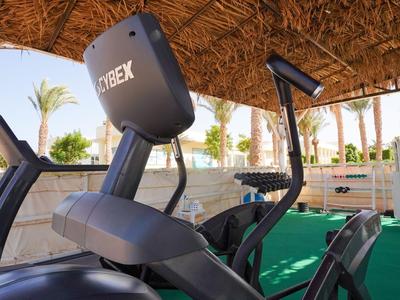 Fitness přístroje pod doškovou střechou s palmami v pozadí za slunečného dne.