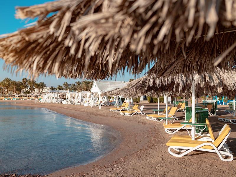 Plaża z leżakami pod strzechą i spokojnym morzem w słoneczny dzień.