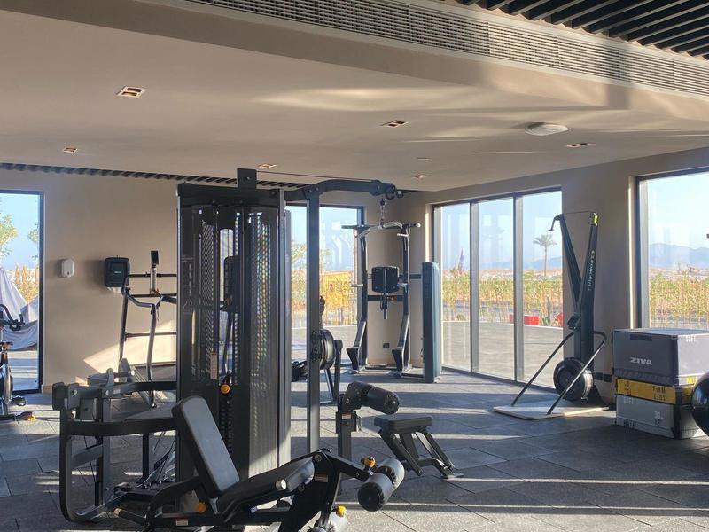 Heller Fitnessraum mit modernen Trainingsgeräten und großen Fenstern mit Ausblick.