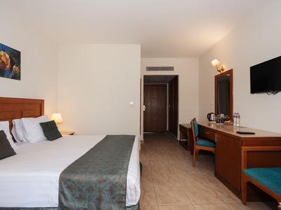Hotel room with double bed, desk, TV, and simple decor.