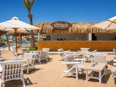 Beach bar with white chairs, umbrellas, and palm trees under a clear blue sky.