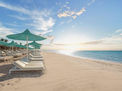 Sdraio vuote con ombrelloni verdi su una tranquilla spiaggia sabbiosa all'alba.