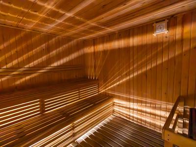 Innenraum einer Sauna aus Holz mit Bänken und Oberlichtern, durch die Sonnenlicht einfällt.