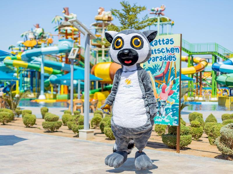 Persona in costume grande di lemure grigio e bianco davanti a scivoli d'acqua colorati in un parco acquatico.