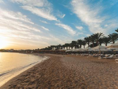 Strand mit Palmen, Sonnenschirmen und ruhigem Meer bei Sonnenuntergang unter blauem Himmel.