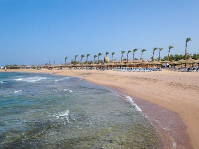 Breed zandstrand met helder blauw water en een rij palmbomen bij het hotelstrand onder een blauwe lucht.